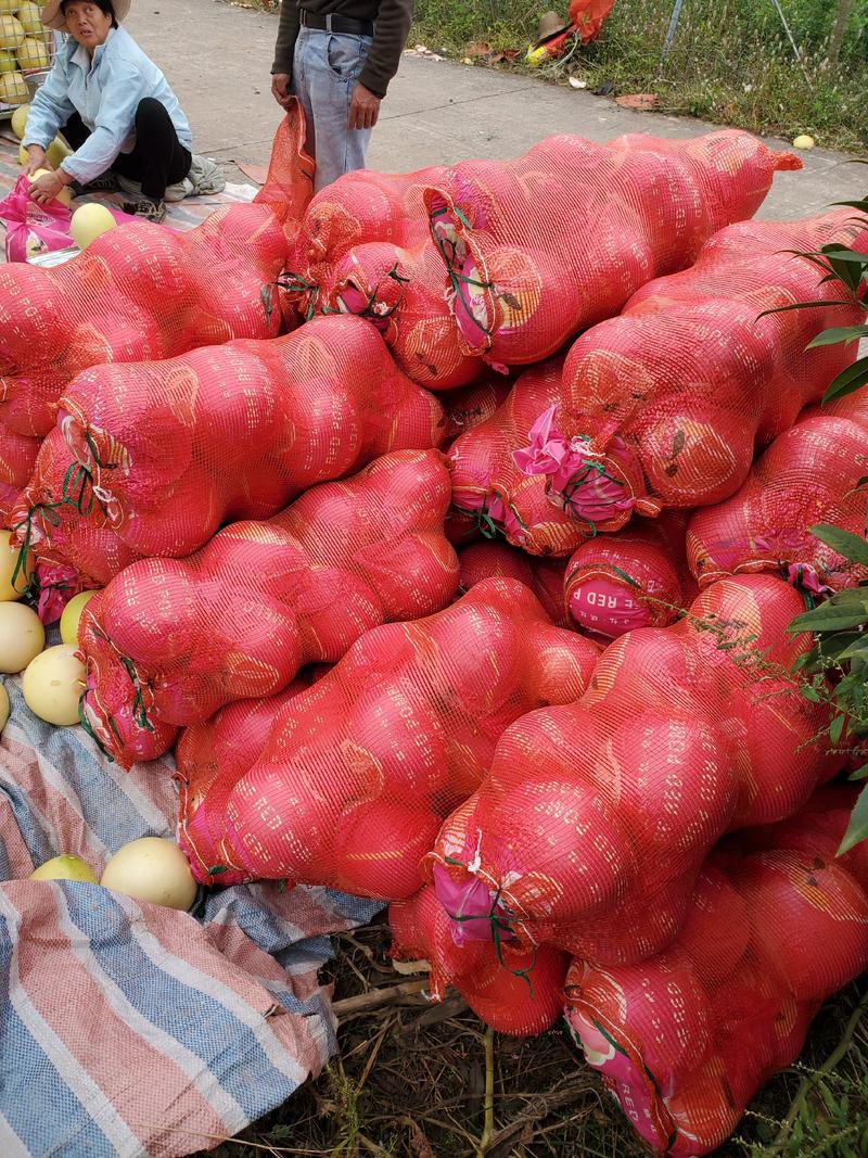 重庆万州特产水果柚子红柚三红柚产地现采现卖