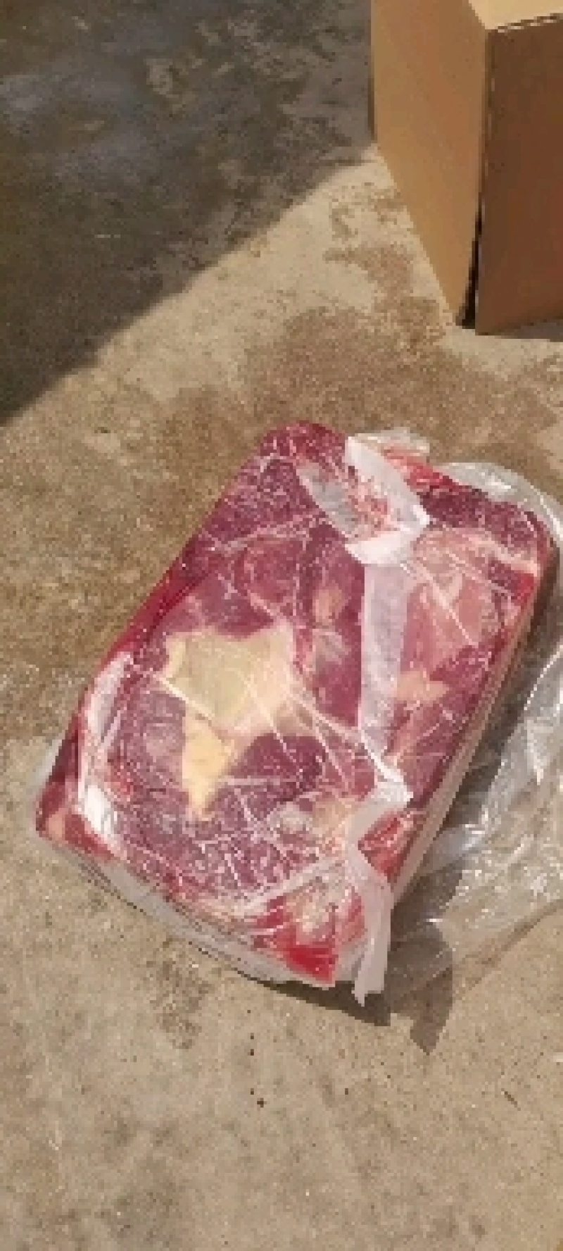 国产鲜冻牛肉纯一手货源品质保证诚信经营欢迎联系一手货