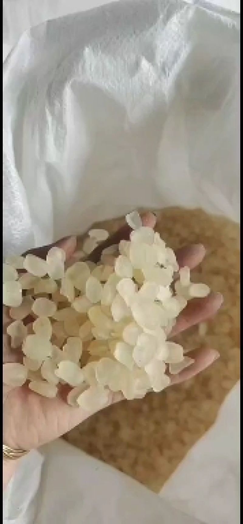 皂角米小白片，无硫小单荚，大量有货，欢迎订购，可以视频看