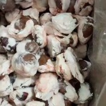 精品羊腰子，原油羊腰子，质量上乘，价格美丽，欢迎来电咨询