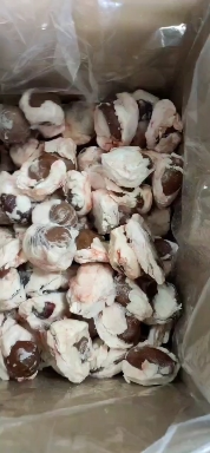 精品羊腰子，原油羊腰子，质量上乘，价格美丽，欢迎来电咨询