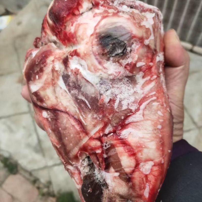 精品羊头，精品羊头，大小规格都有，每天都是先杀羊头，