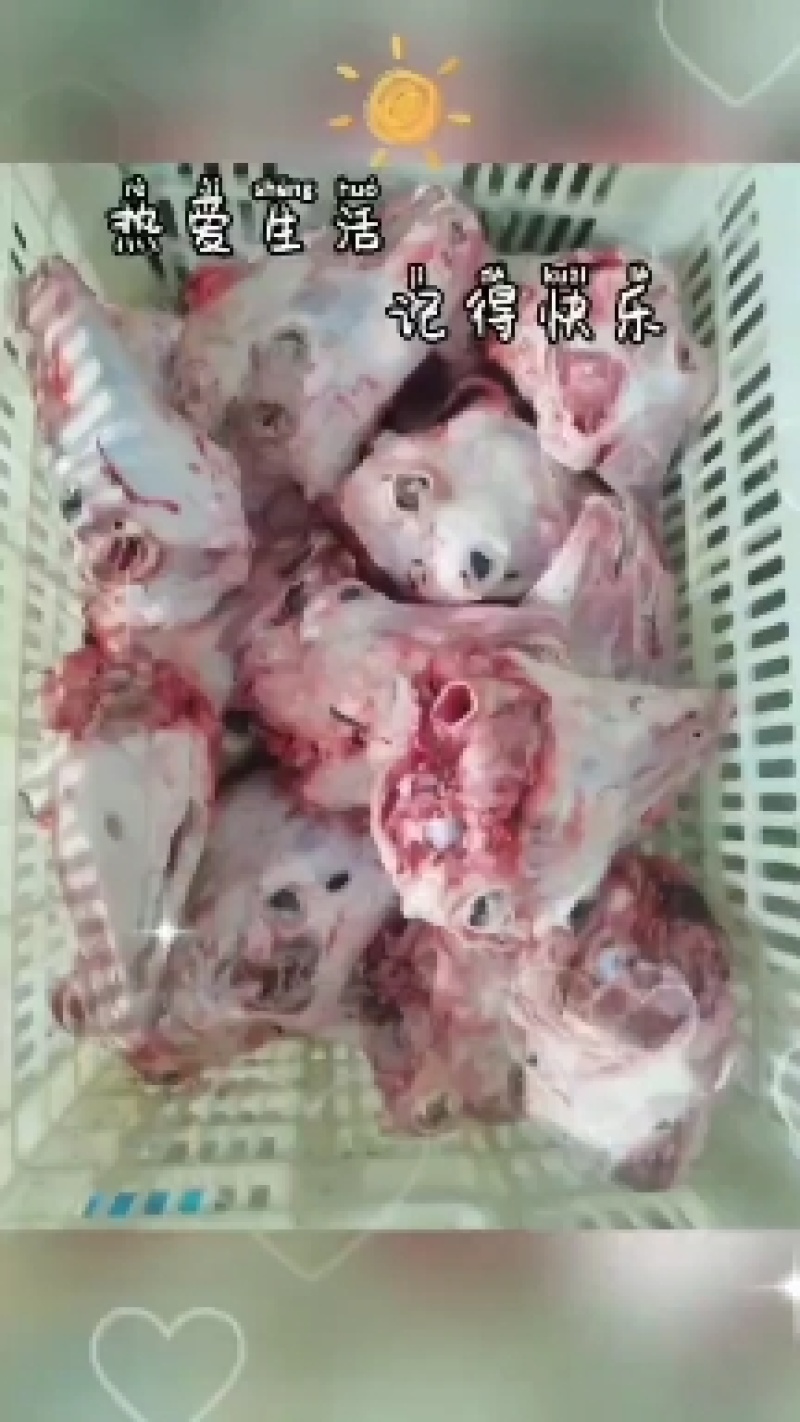 精品羊头，精品羊头，大小规格都有，每天都是先杀羊头，