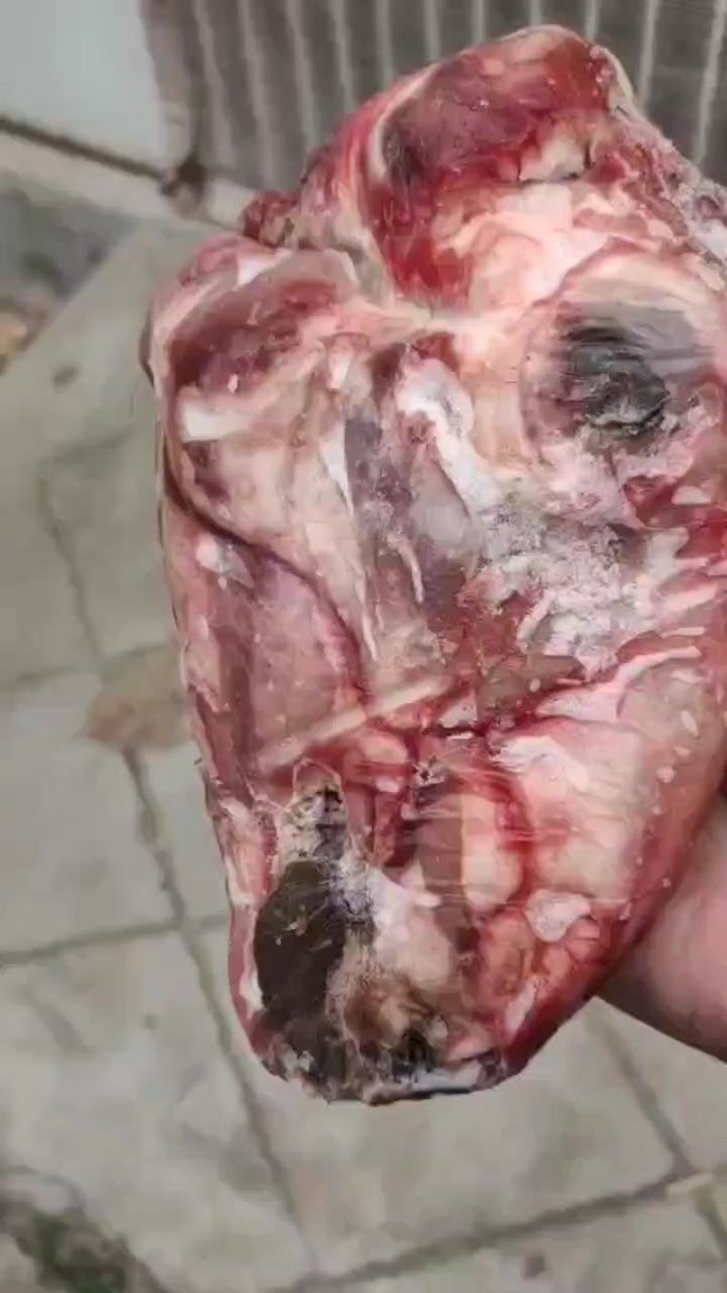 精品羊头，精品羊头，大小规格都有，每天都是先杀羊头，
