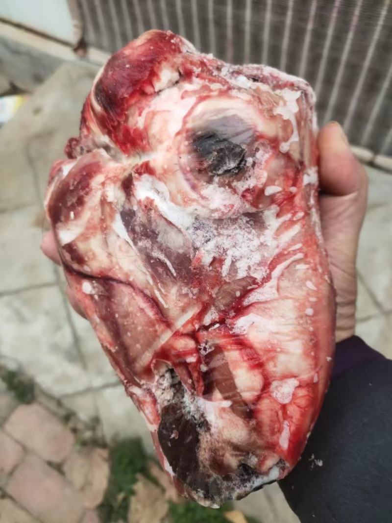 精品羊头，精品羊头，大小规格都有，每天都是先杀羊头，