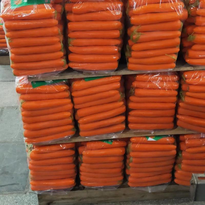 [胡萝卜]精品水洗胡萝卜三红胡萝卜对接各大商超市场