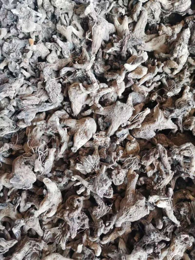 白及干个子统货直供