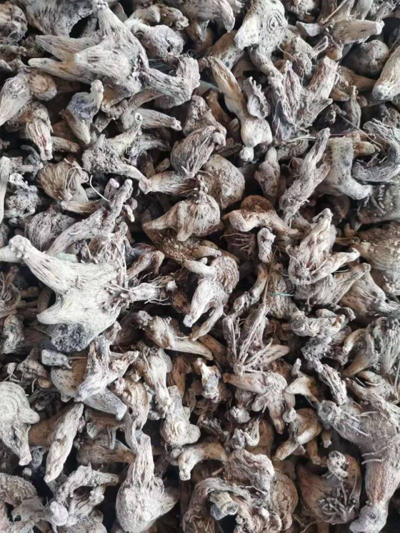 白及干个子统货直供