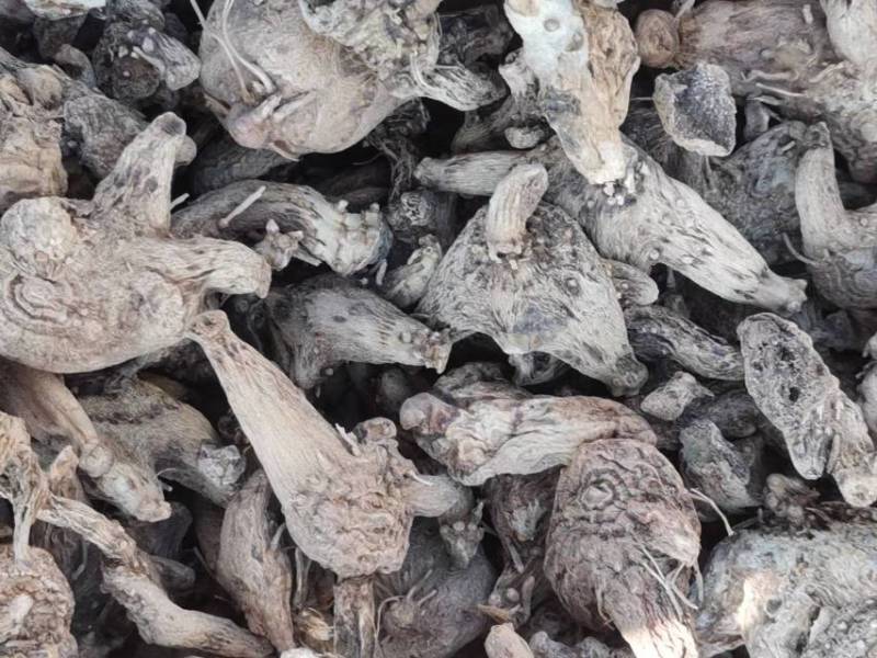 白及干个子统货直供