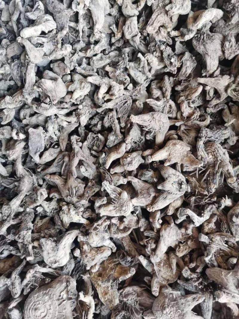 白及干个子统货直供