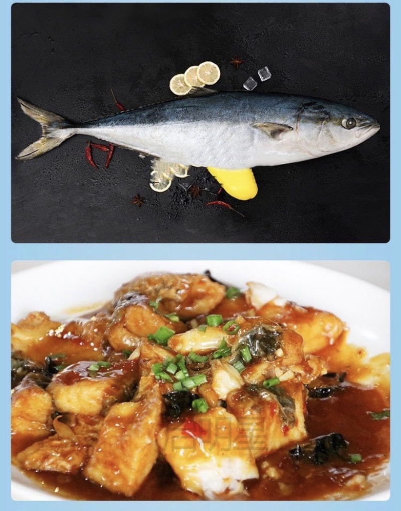 黄金鲅，大鲅鱼，批发价格美丽，送礼佳品，好吃不贵
