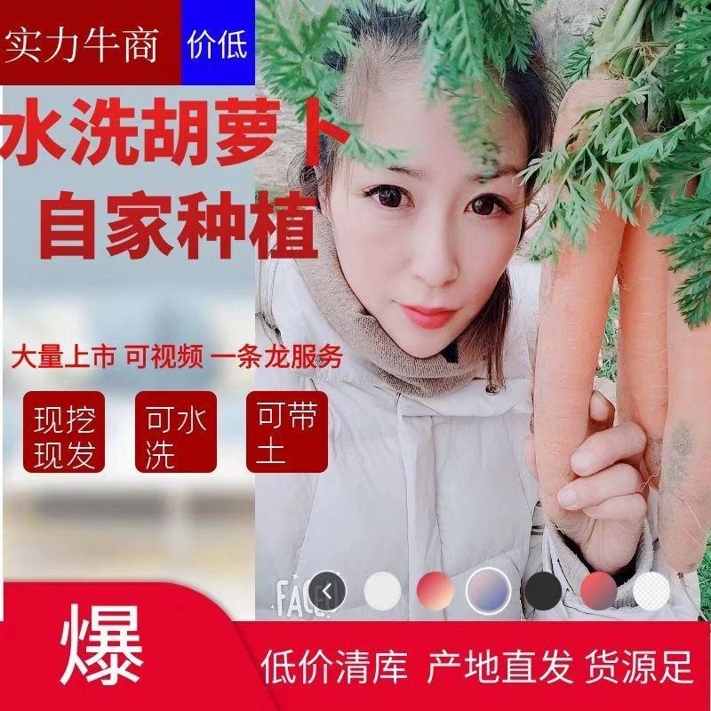 开封沙地胡萝卜可带土可水洗，货源充足，实力代办，全国发货