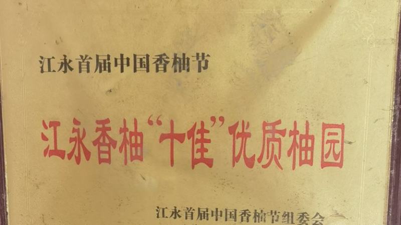 江永香柚，甜过初恋
