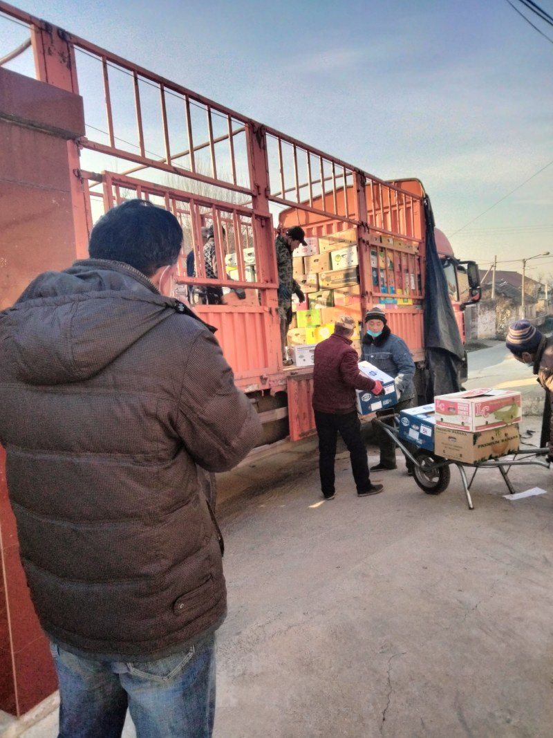 磨盘柿子产地批发供应