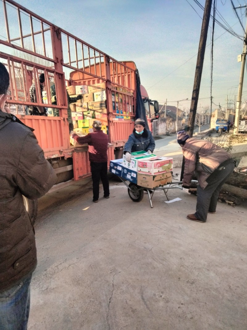 磨盘柿子产地批发供应