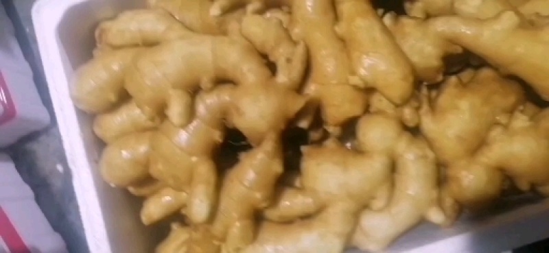 生姜