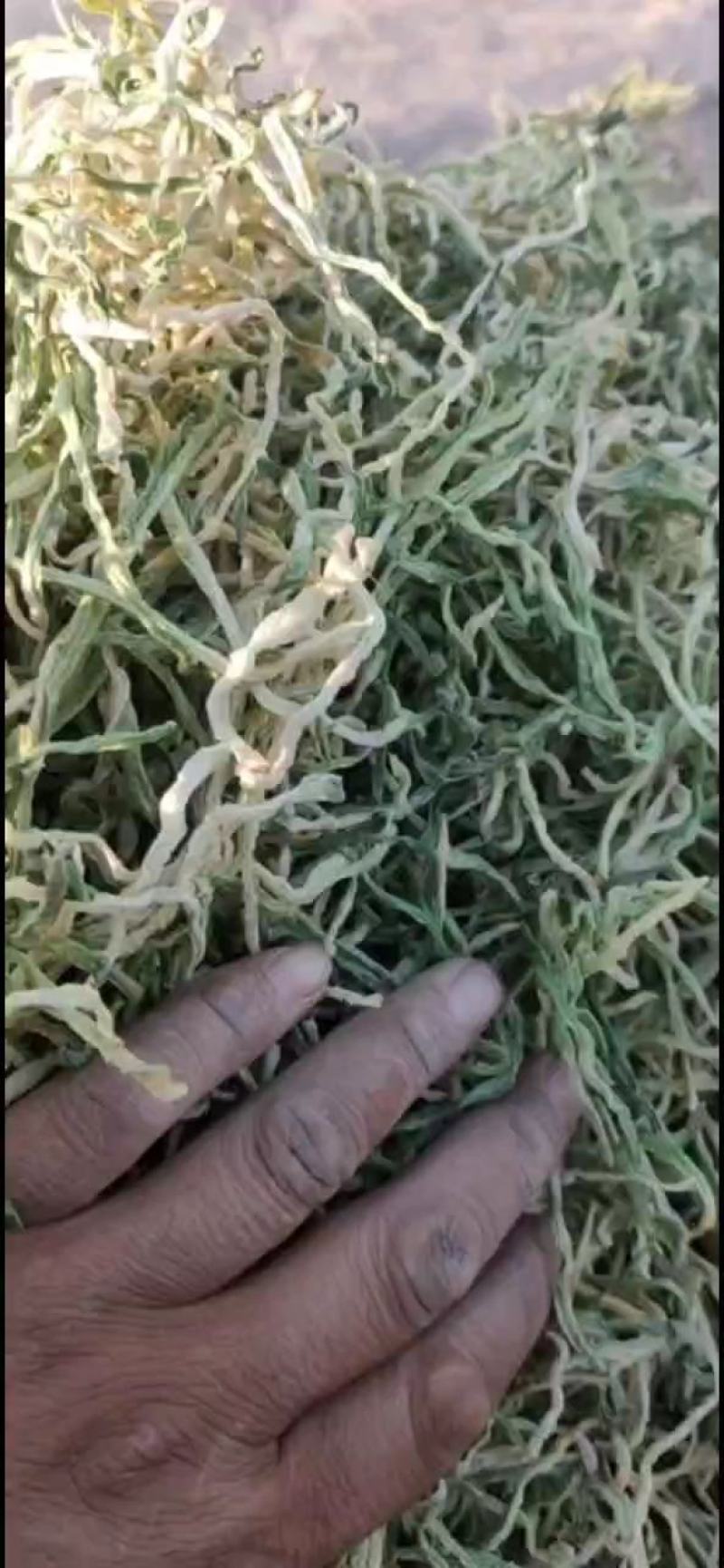 水果罗卜丝，罗卜干，