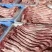 鲜宰马肉马肋条马腱子马腿肉10斤福利包装现宰