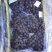 15斤黄箱葡萄套袋无公害葡萄口感甘甜质量好