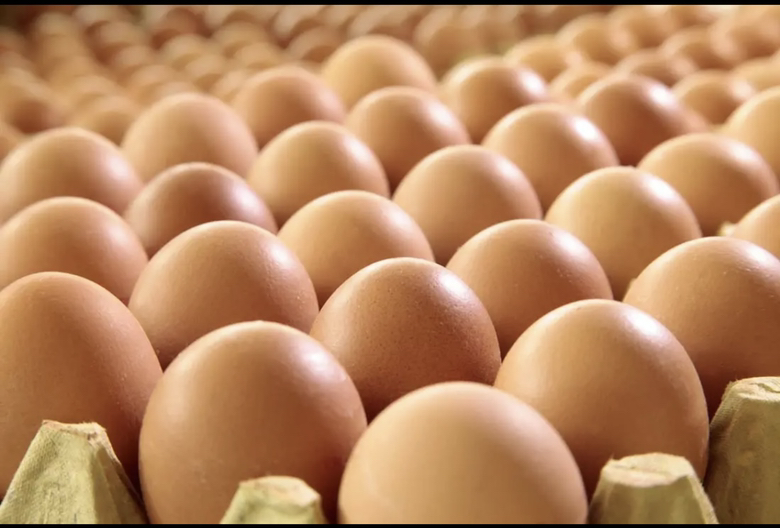 一位年轻母亲在明亮厨房中打开一盒朝一鸡蛋,准备制作宝宝辅食,桌上摆放着煮蛋器、婴儿餐碗和营养标签放大镜,背景可见冰箱上的有机食品认证贴纸 家庭厨房使用可生食鸡蛋场景