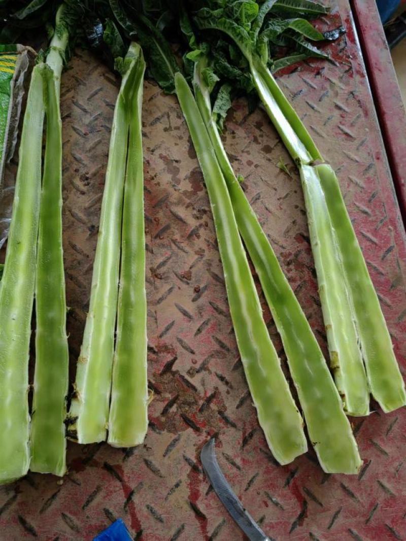 莴苣杆子