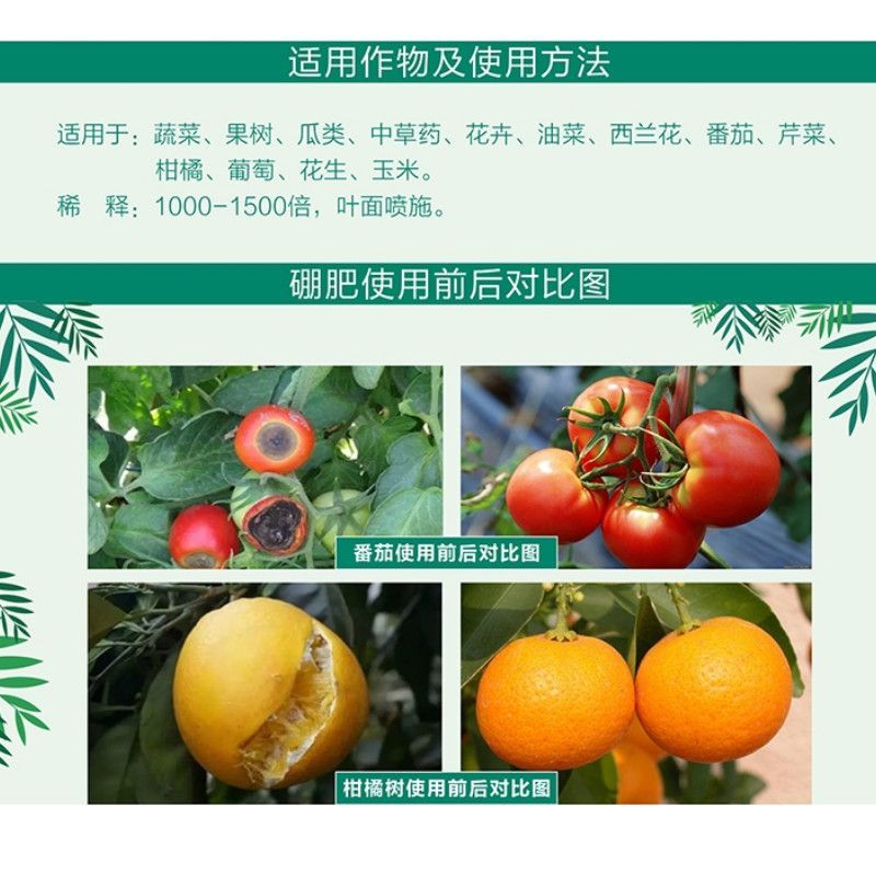 硼钼合剂豆类叶面肥花多果多颗粒饱满补硼补钼固氮硼中钼