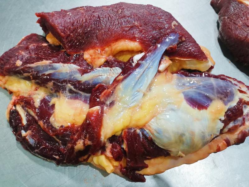 锡林郭勒黄膘牛肉，每天现杀
