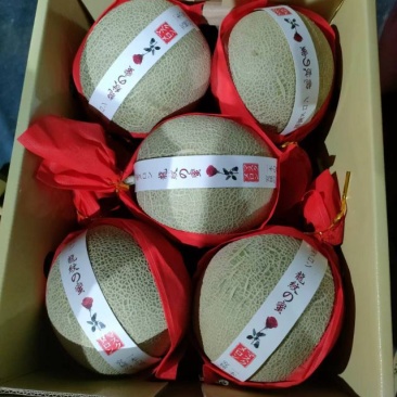 【热卖】海南晓蜜25哈密瓜供应市场商超电商品质量大价优