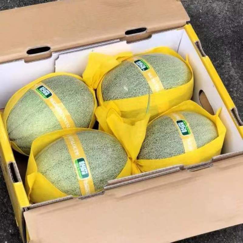 【热卖】海南晓蜜25哈密瓜供应市场商超电商品质量大价优