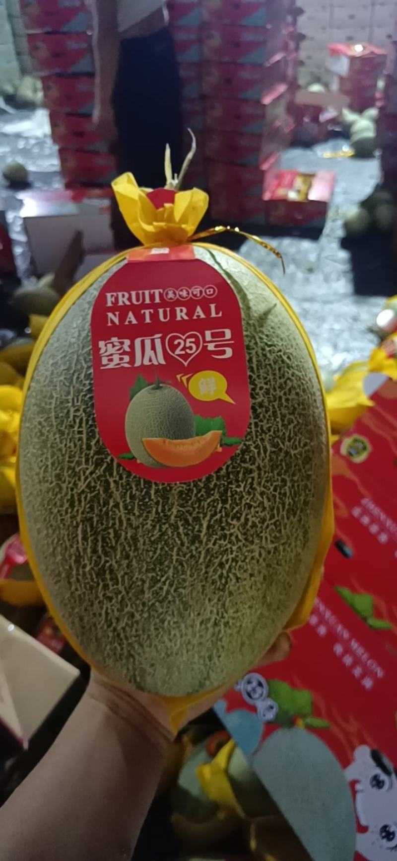 【热卖】海南晓蜜25哈密瓜供应市场商超电商品质量大价优