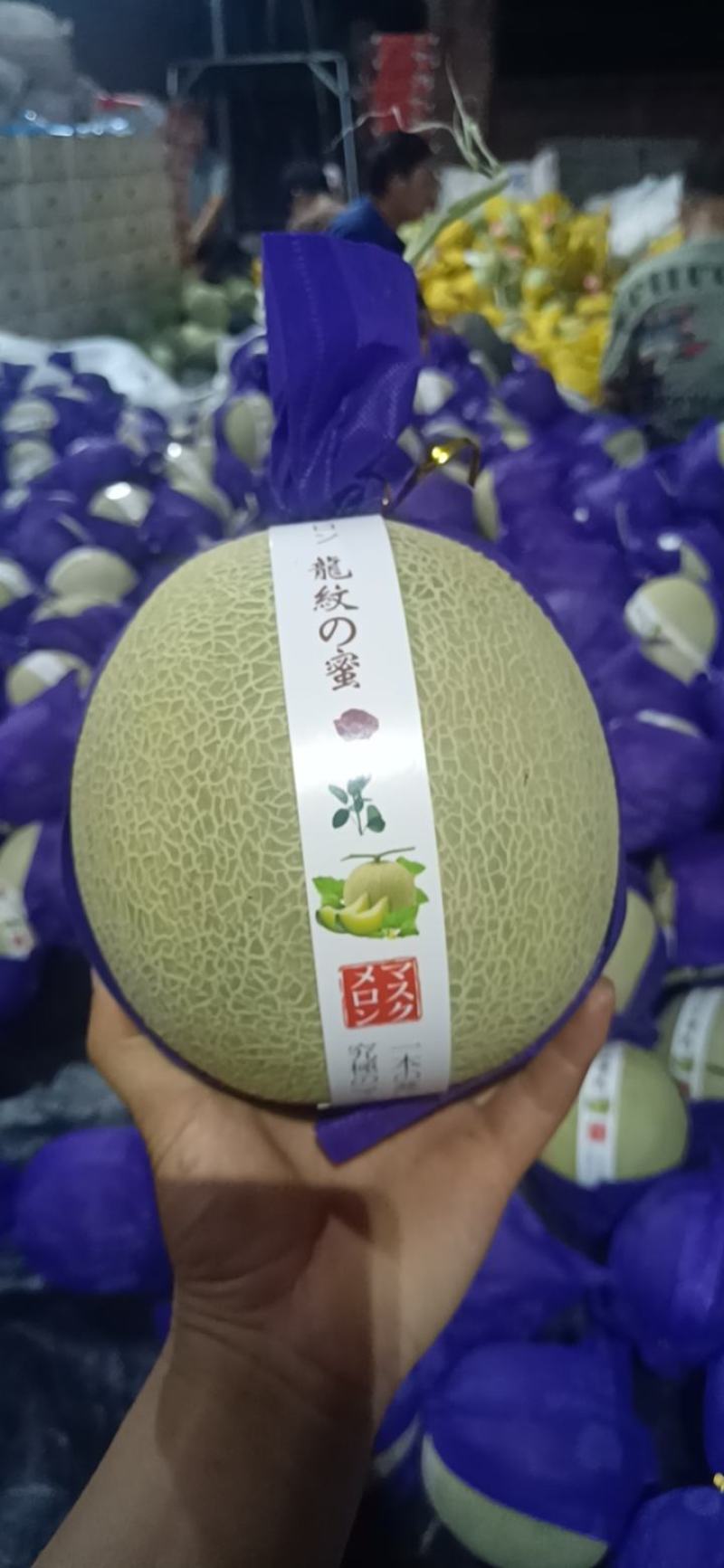 【热卖】海南晓蜜25哈密瓜供应市场商超电商品质量大价优