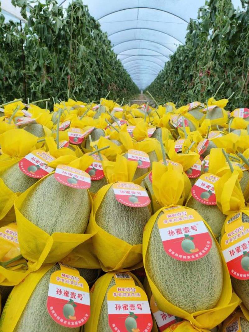 【热卖】海南晓蜜25哈密瓜供应市场商超电商品质量大价优
