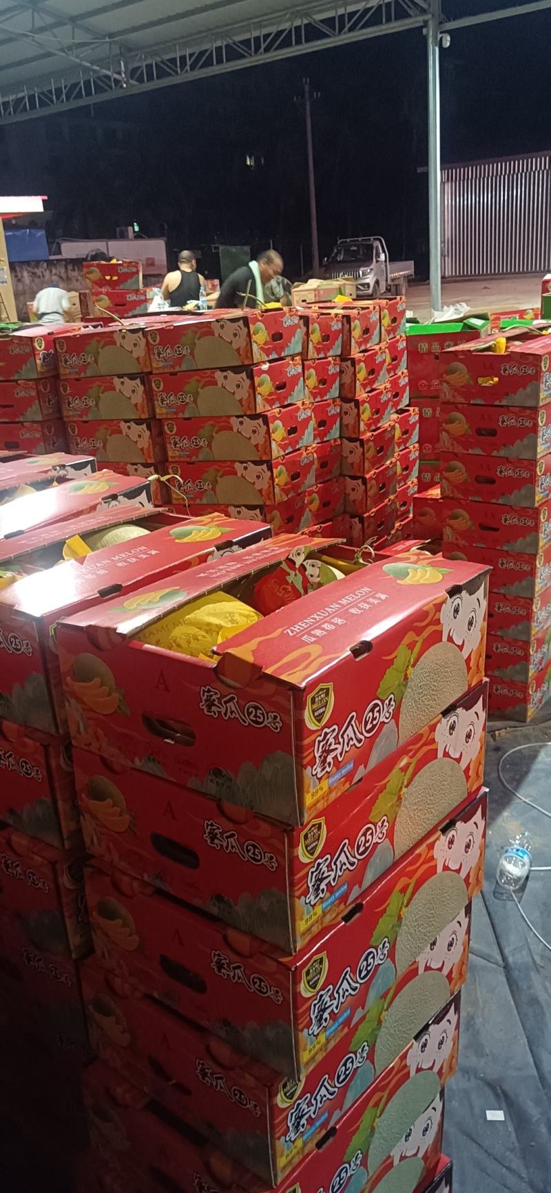 【热卖】海南晓蜜25哈密瓜供应市场商超电商品质量大价优