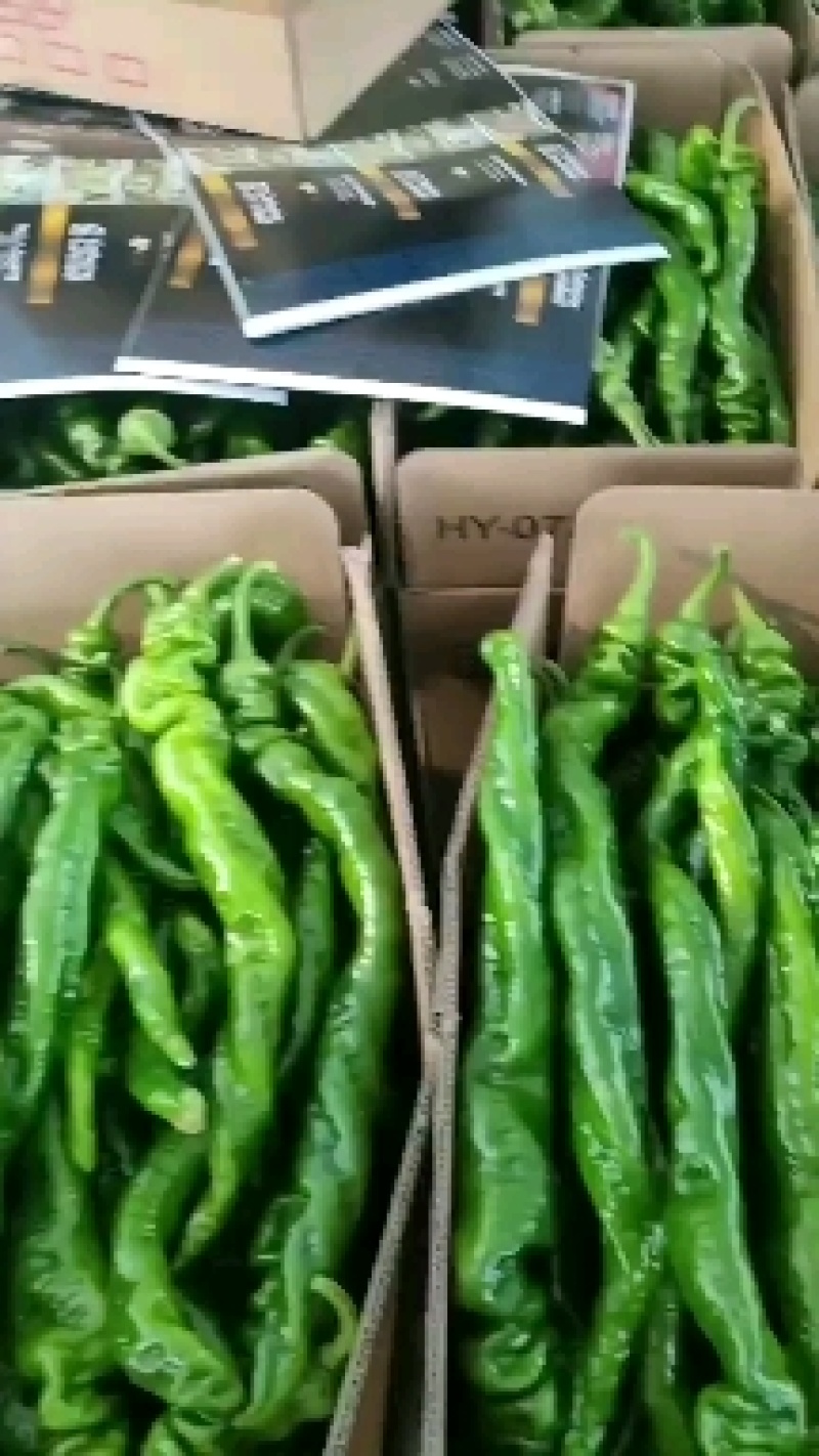 精品螺丝椒