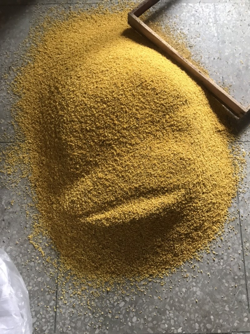 桂花干