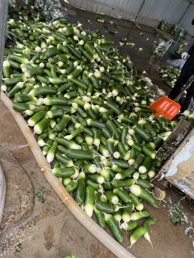 口感好，条形好，需要的朋友可以联系我