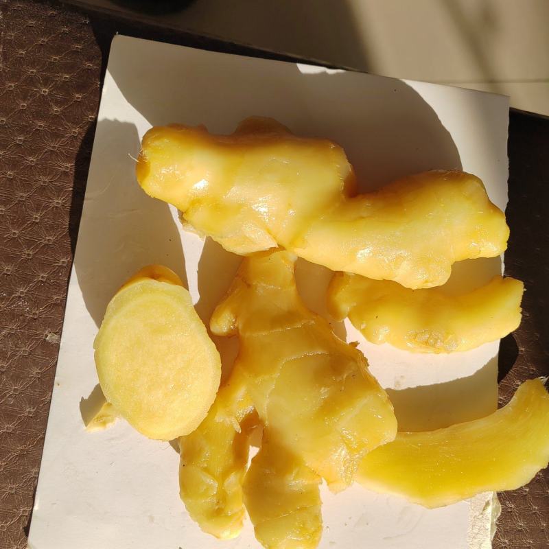 腌制唐山大黄姜开始装车发货