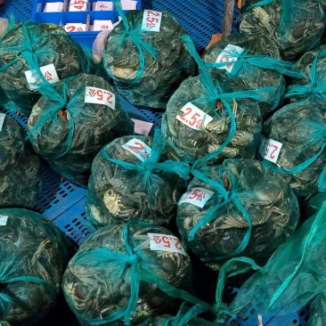 江苏产地直发养殖基地兴化一年四季供应螃蟹规要货提前联系我