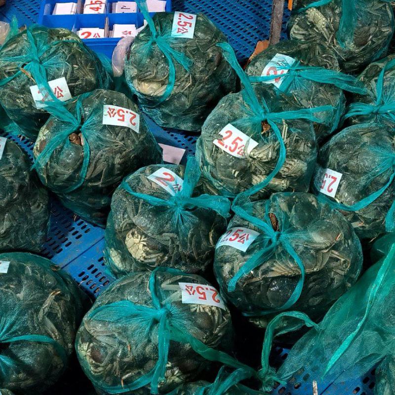 江苏产地直发养殖基地兴化一年四季供应螃蟹规要货提前联系我