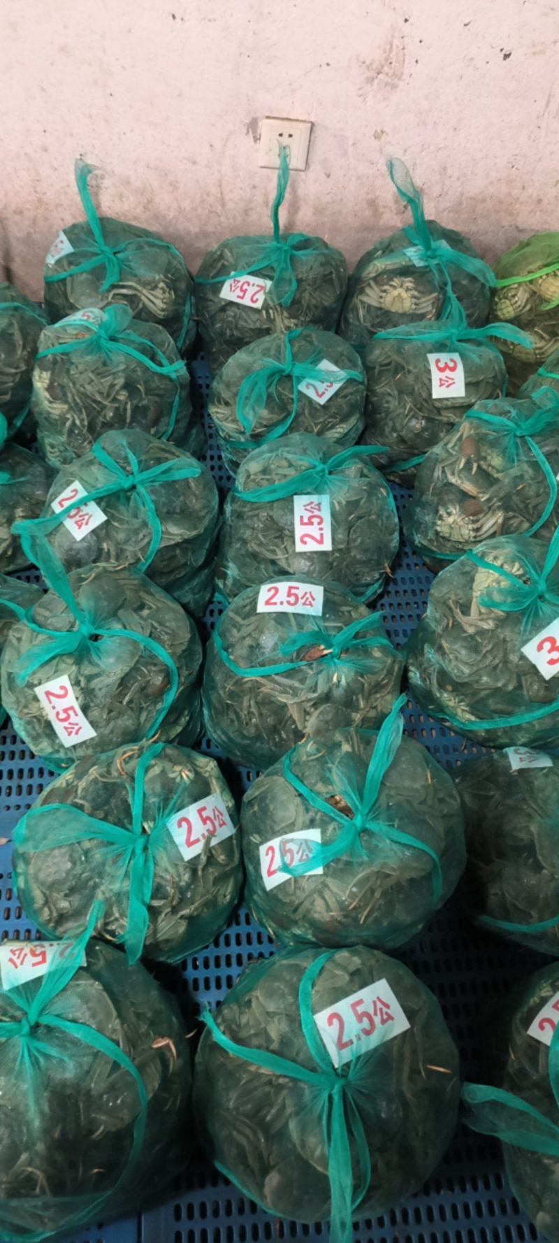 江苏产地直发养殖基地兴化一年四季供应螃蟹规要货提前联系我