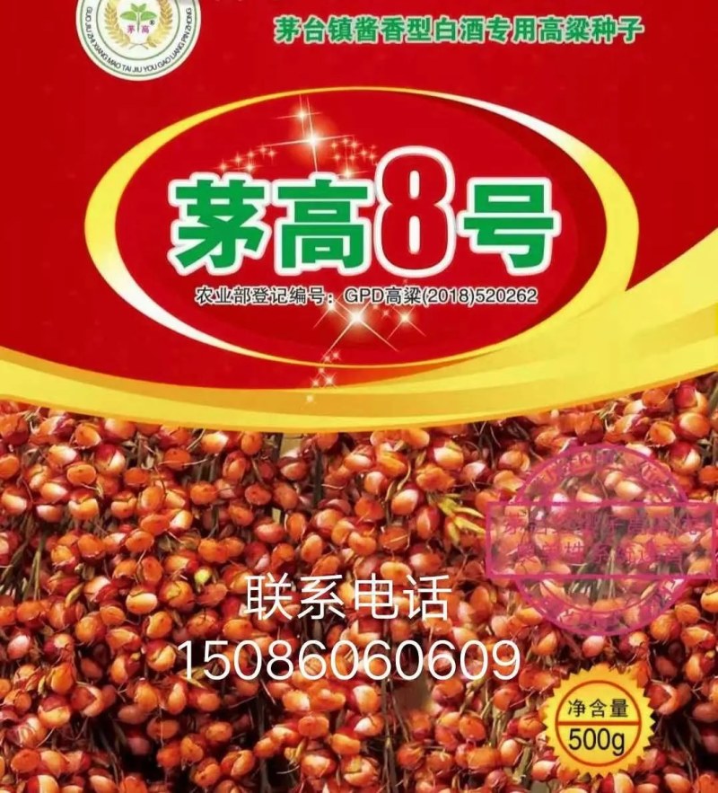 红缨子系列高梁种子，茅高八号九号，茅台红，红缨糯，等