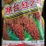红缨子系列高梁种子，茅高八号九号，茅台红，红缨糯，等