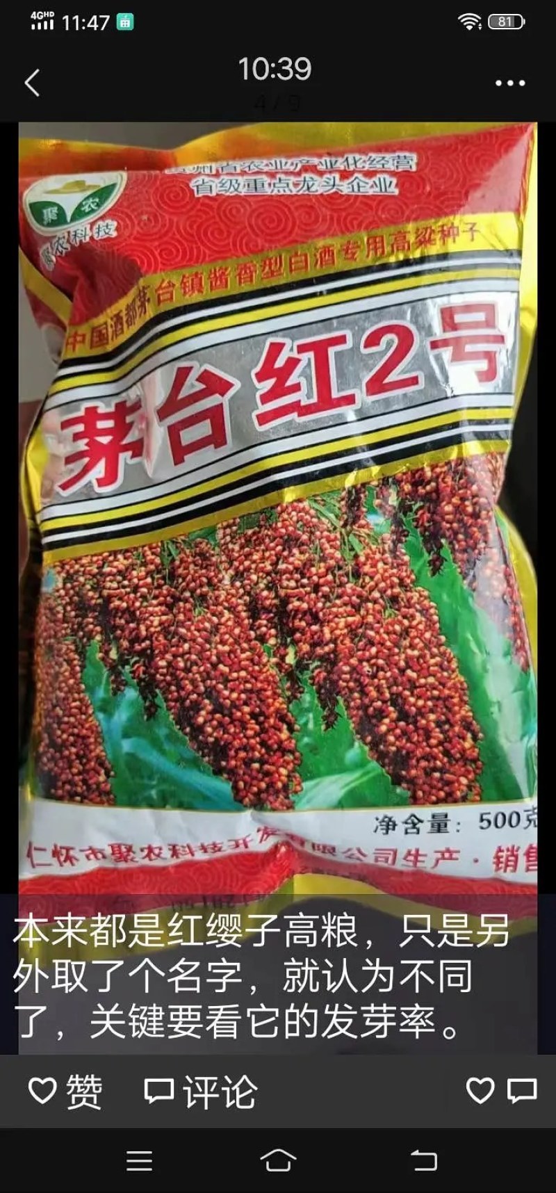 红缨子系列高梁种子，茅高八号九号，茅台红，红缨糯，等