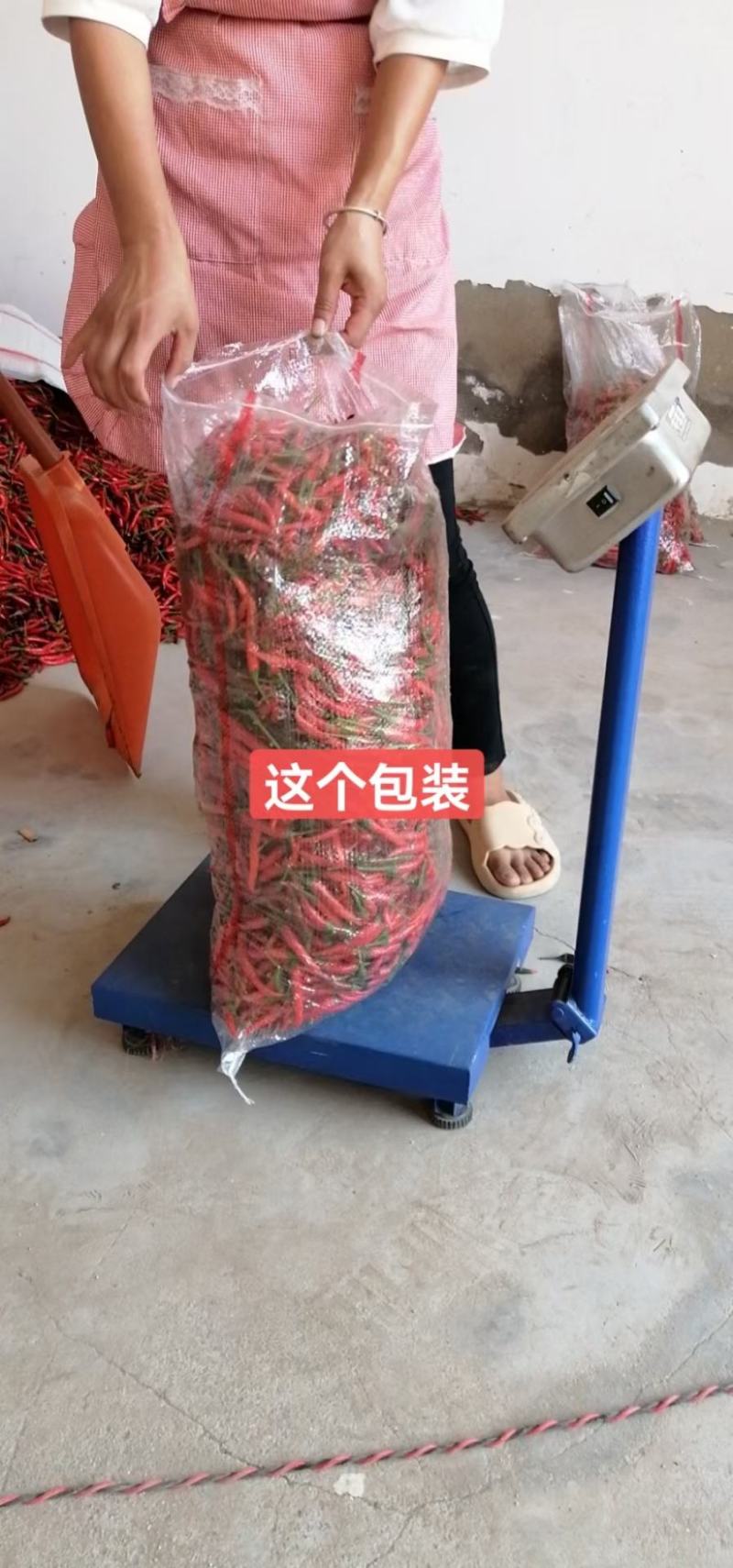 河南小米椒艳红辣椒各种包装都有常年供应市场货电商货