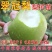 【包邮】梨树苗翠冠梨苗早熟南方种植北方耐寒梨苗果树苗