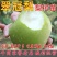 【包邮】梨树苗翠冠梨苗早熟南方种植北方耐寒梨苗果树苗