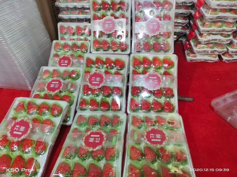 精品草莓各种规格量大欢迎加入平台市场都行