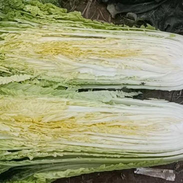 竹筒白菜超靓3毛上车