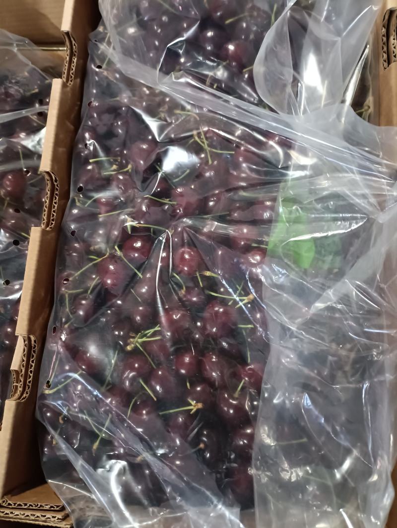 现货速发10点前订单正常当天发货进口车厘子可以一件代发货