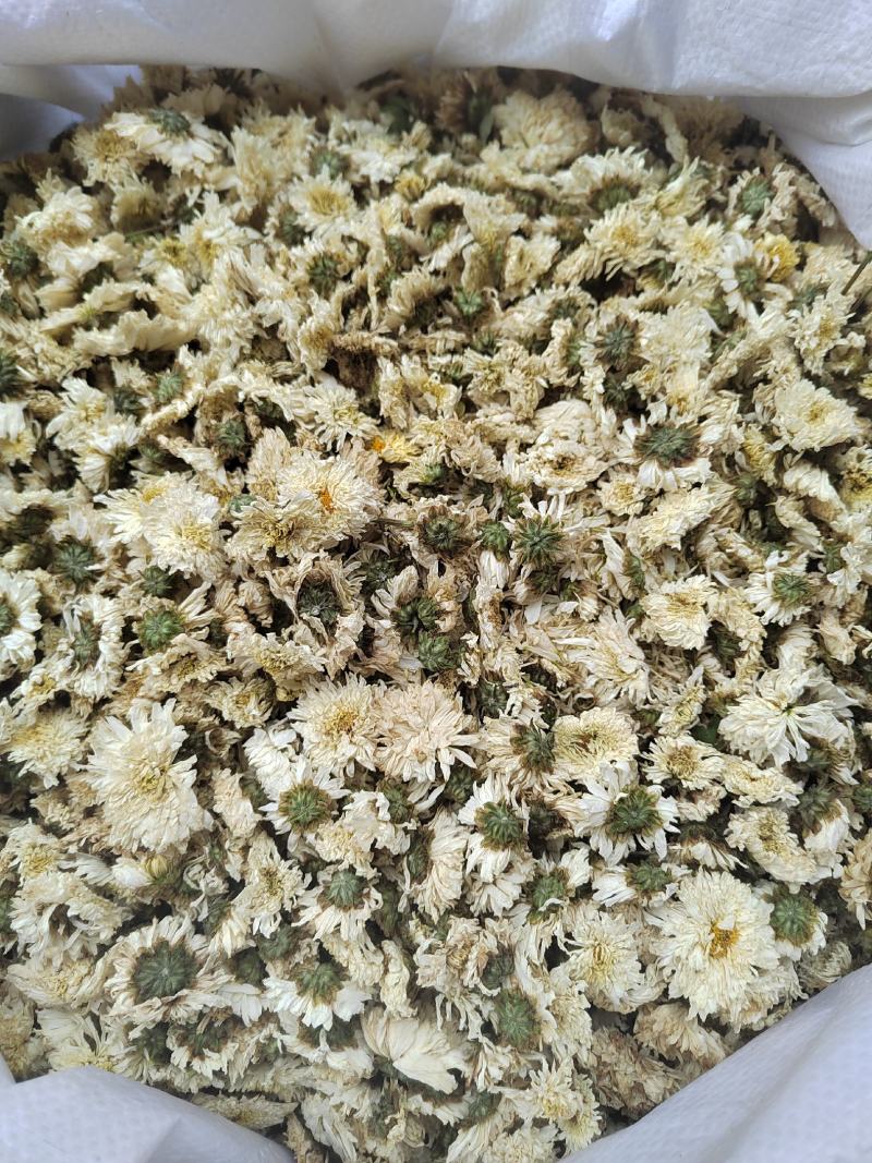 菊花，药用菊花，喝茶用菊花，七月菊，白菊，炕干无硫
